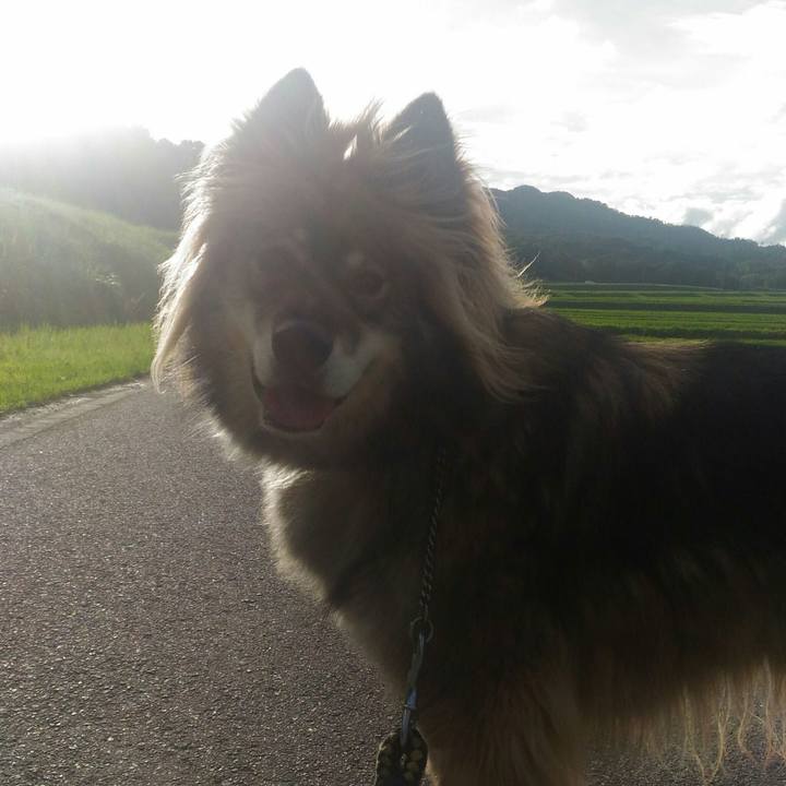 5ee8f477 c4f2 4e63 9bdb 124576979934 1531040739191