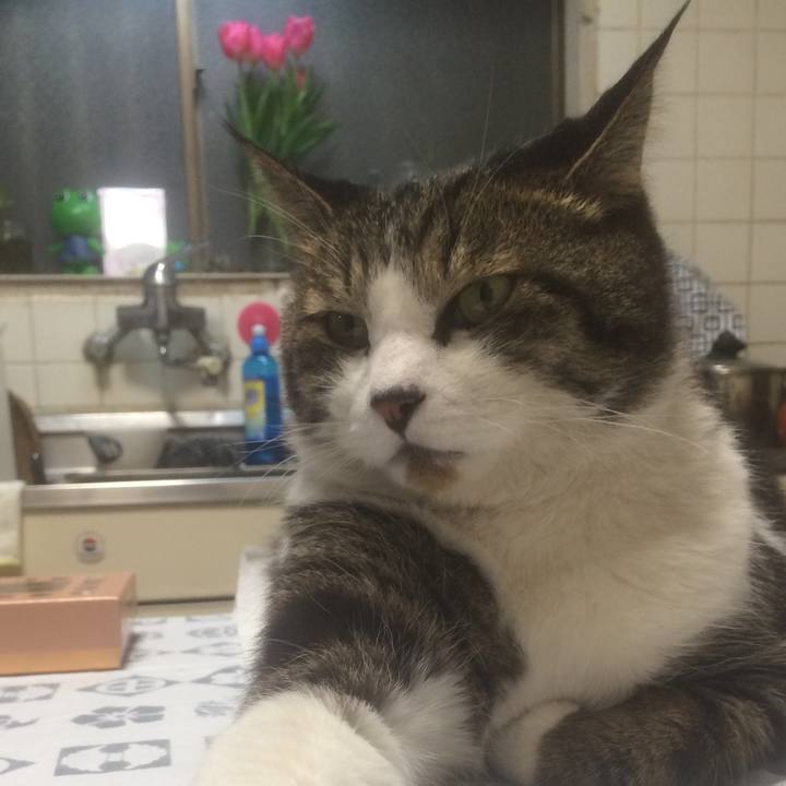 5ee90c79 4528 4e88 aad7 000c12bdf8c4 1548243553216