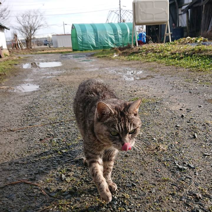 5ee9118b 04d0 4e70 bcf0 15fbcac05401 1578797995154