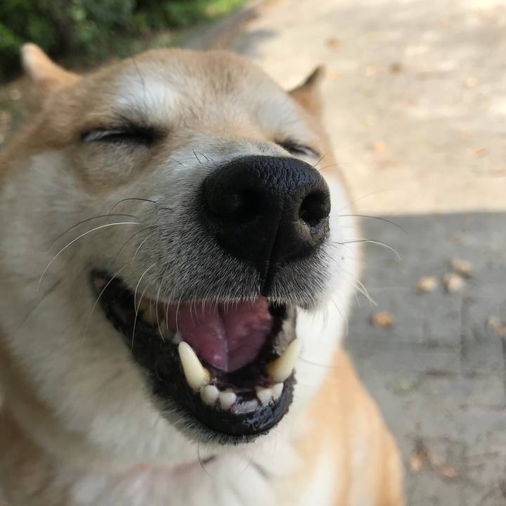 5ee94839 782a 4dbb bac1 6e8c3146f2fc 1525142733513