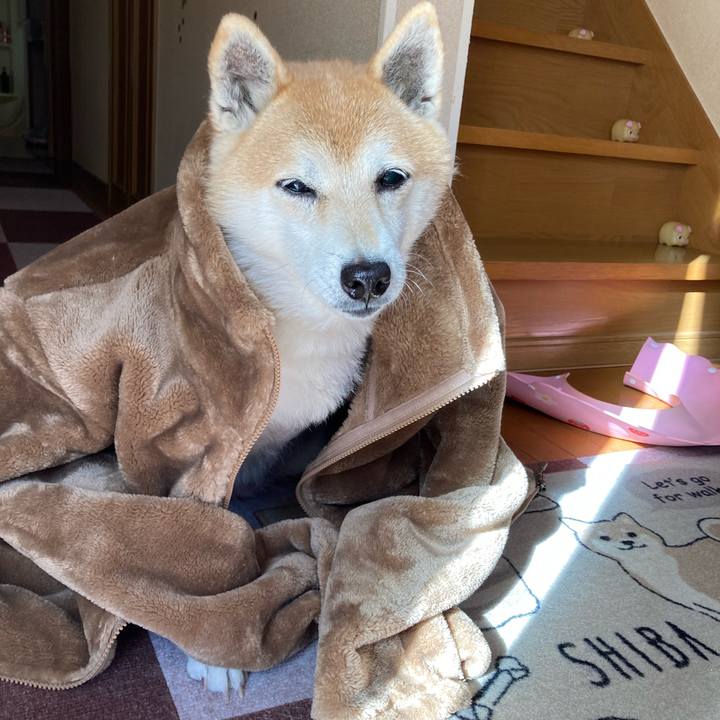 5ee959b7 d74b 48bb aad4 2b471415e2cf 1638358083081