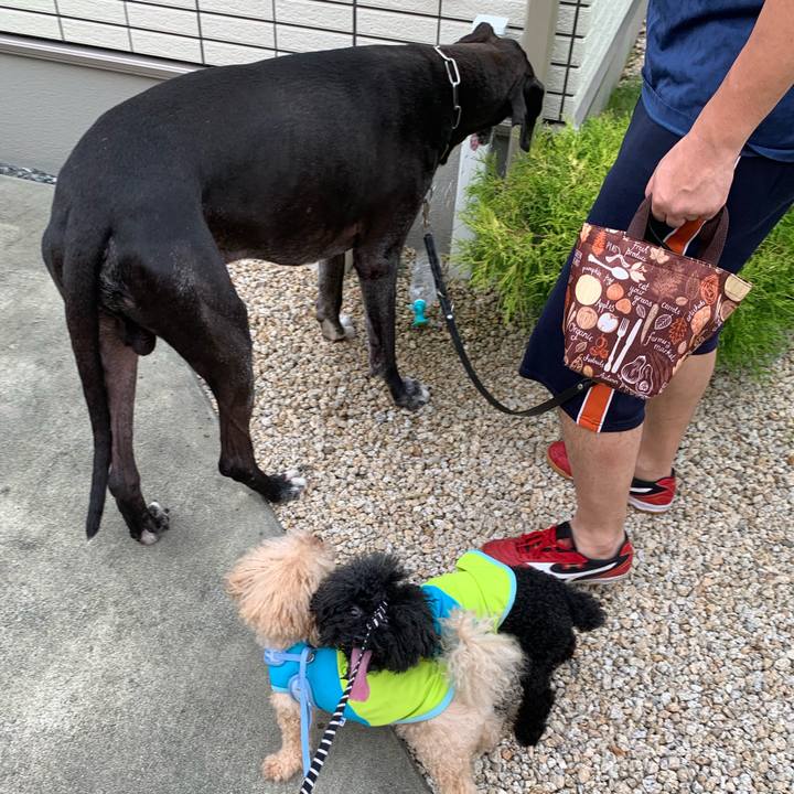 5ee9b9b6 e9f6 4361 a994 8122ce73e566 1566081422509