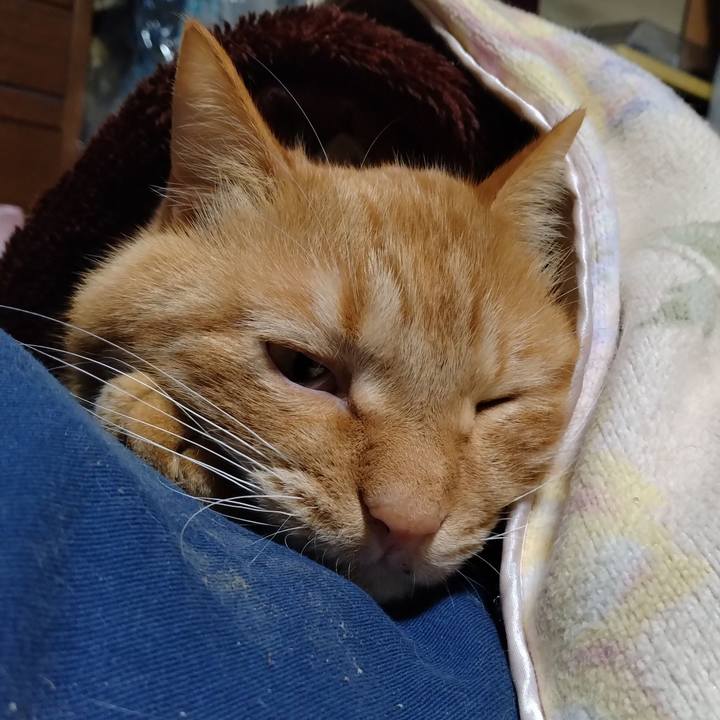 5ee9bfcc db39 4206 8b7b e96f94de57cf 1702556953637