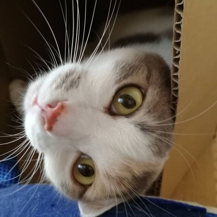 5ee9cbb6 808b 4fb2 b182 3cc4915227d5 1566354270007