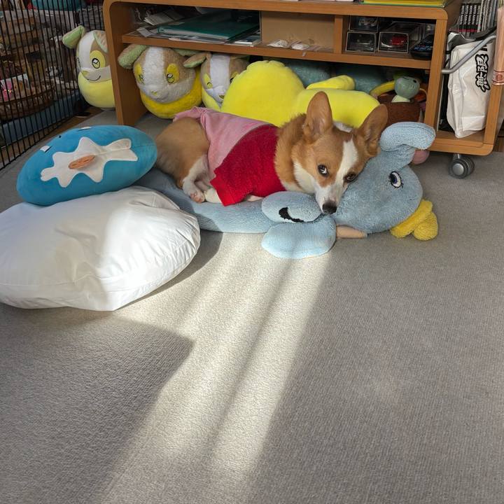 5ee9ddac f449 46cb b478 0957173e80b1 1766116039054