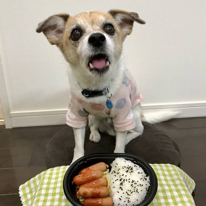 5eea23e4 25eb 46c2 a55e b4c65fd94fa8 1636515003609