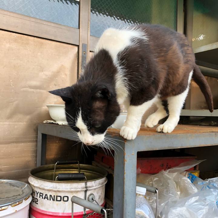 5eea2801 490f 4453 bf02 a46509f99bdf 1529942234325