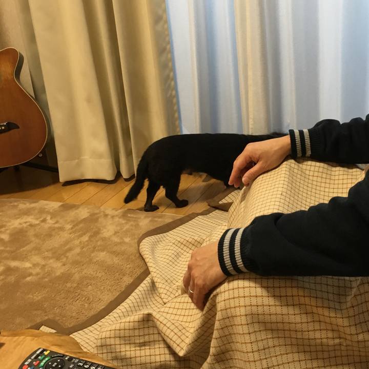 5eea65b9 6b65 4765 9a40 f8c9f4d77394 1515829585867