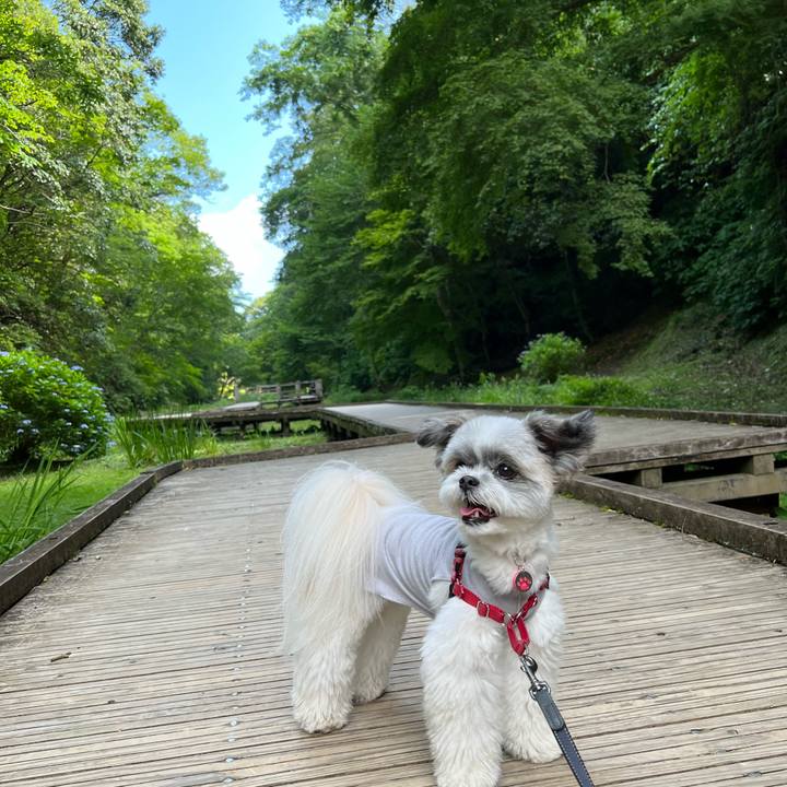 5eea9e73 9e76 4e63 ac07 c14017cbe5e5 1656210186163