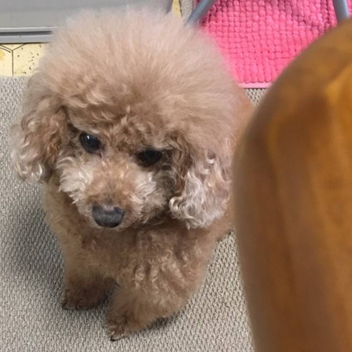 5eeaa3fa 89e7 490f ad36 6997c7564774 1557575027351