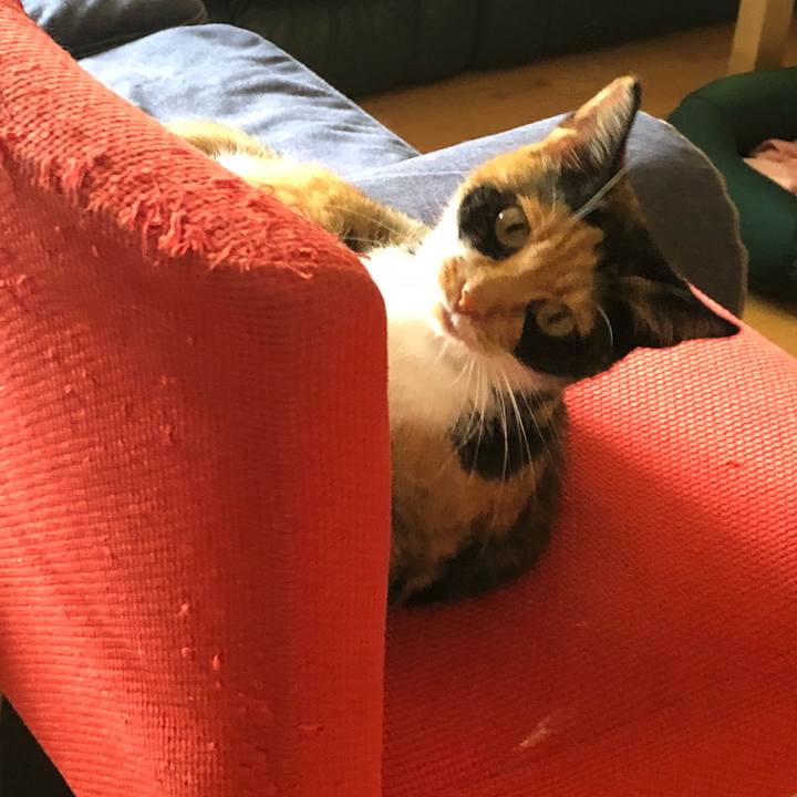 5eeab607 3854 4ce9 80d0 19b555e9c191 1536627074473