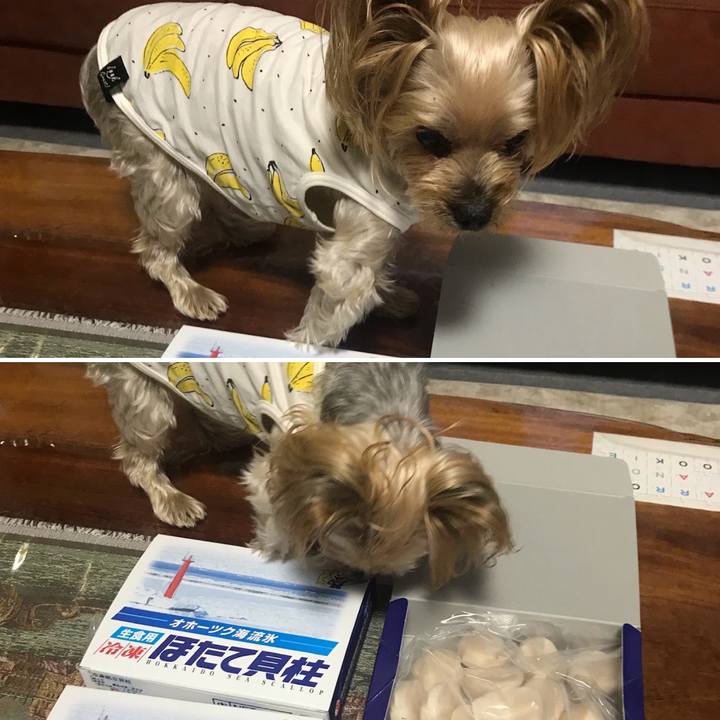 5eeae284 8db4 44a7 96c3 a2dc67ba6c1c 1638266775497