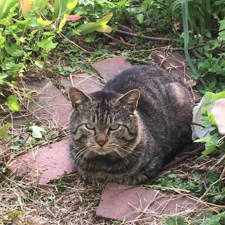 5eeaf026 5bb8 46c1 8770 4ecd0ea14927 1620803675756