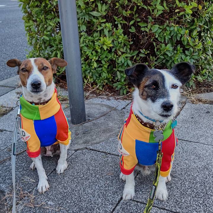 5eeaf814 8ad9 4698 84d7 689148e4231b 1666825081185