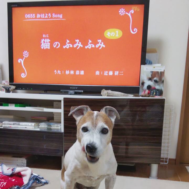 5eeb06d5 31b3 42ab aa04 497dd70815ec 1574374176971