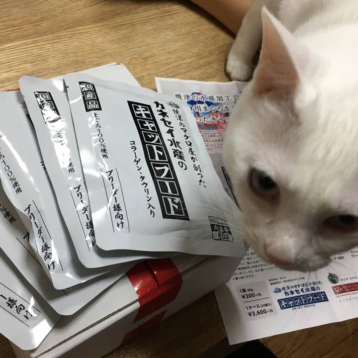 5eeb08fd e4da 41a6 93b9 bf326d2b5463 1529757819058