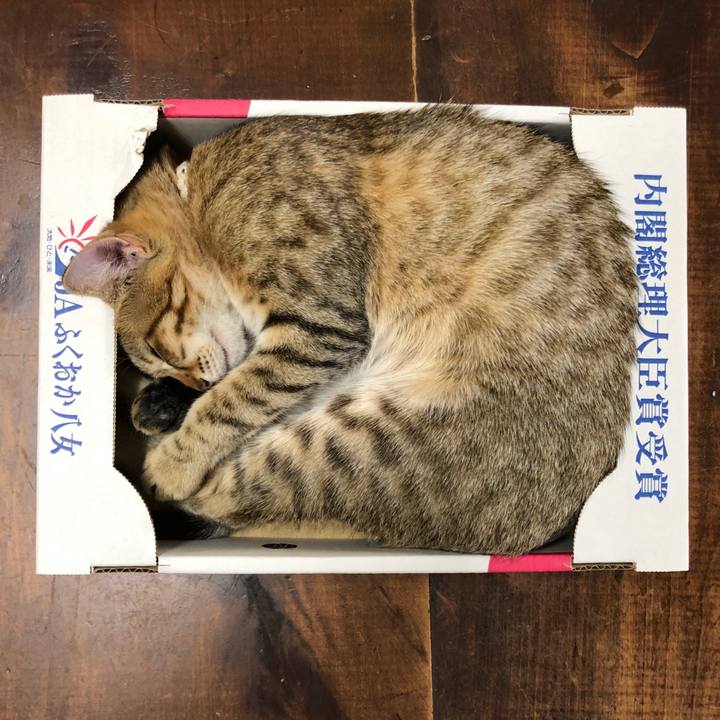 5eeb0a23 9859 4c4d a81c 7524af102d27 1580084469314