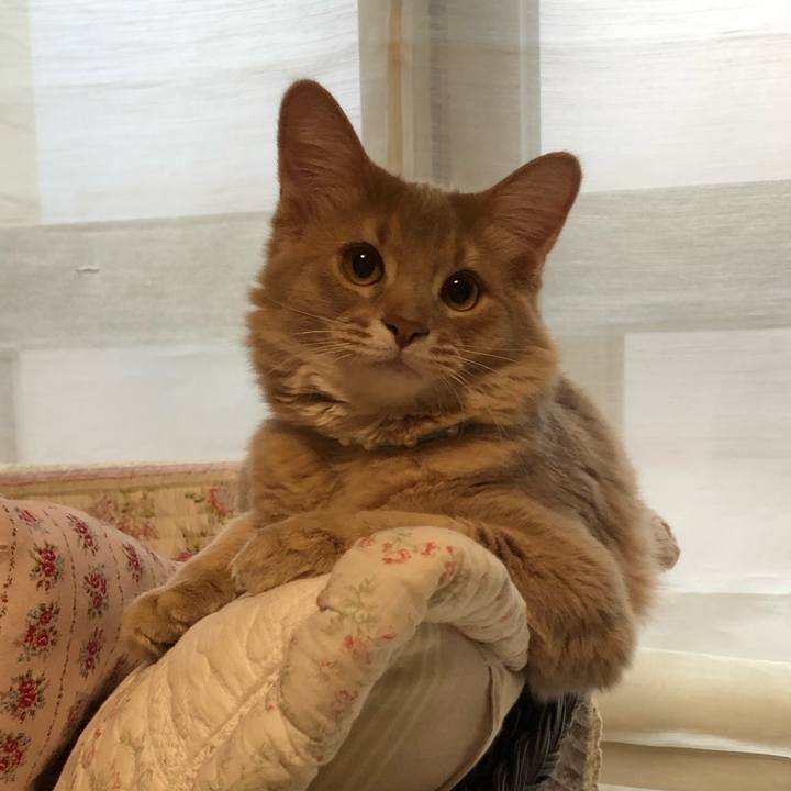 5eeb1005 df05 4a80 a1e4 b19ffab8e2e5 1551228986133