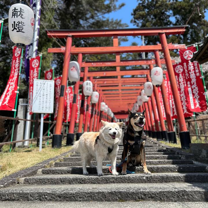 5eeb178a ac76 4da8 960f e537d2efb8b0 1744332747325