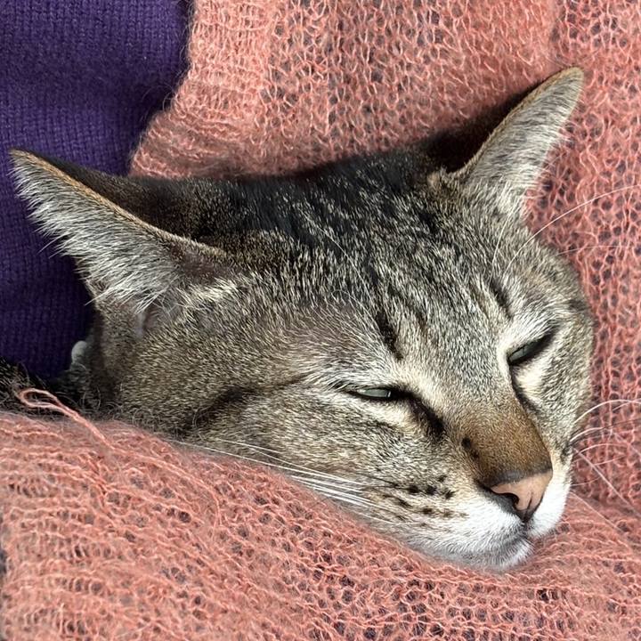 5eeb3002 54d6 4ca3 8877 b582eff41594 1767310096920