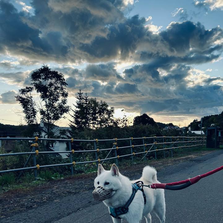 5eeb8079 404f 4300 a7c0 2c4c62f1c4ac 1758242941457