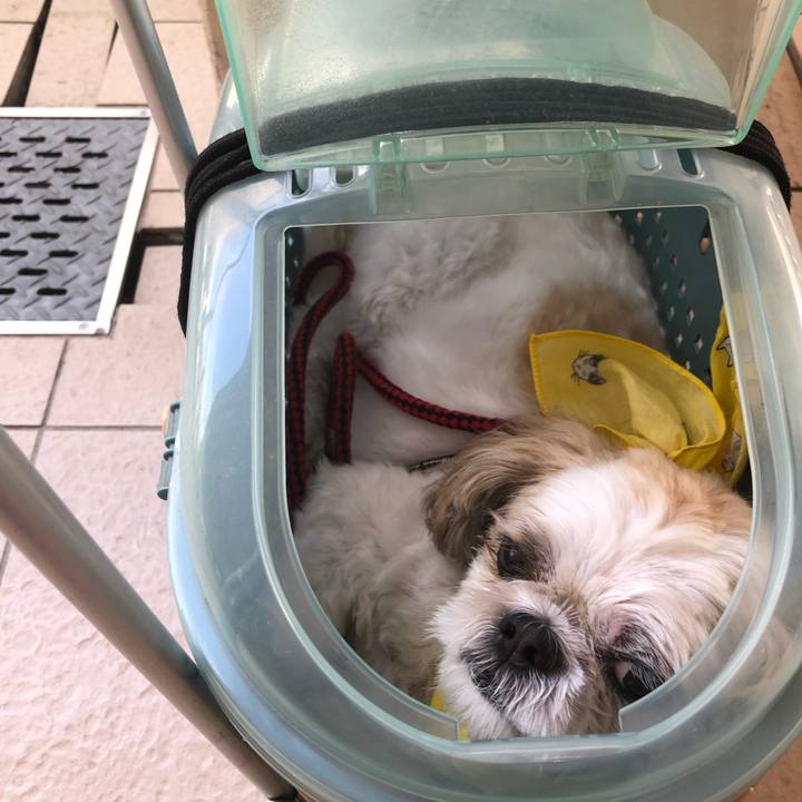 5eebb1fb 3f36 49cd 8e0c 2d61e80f5aca 1599428730808