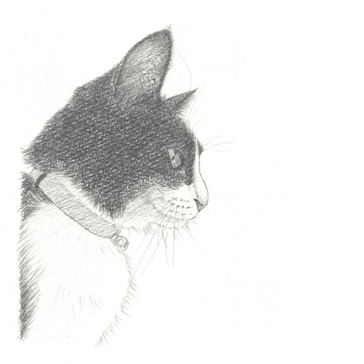 5eebb350 c26b 4b79 8810 cfff58ec2fad 1554905158177