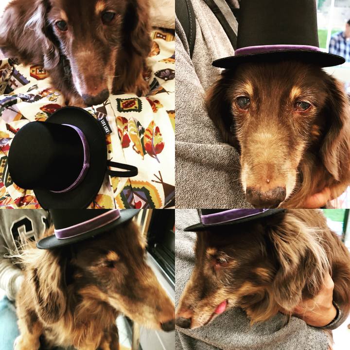 5eebc052 d225 40d3 911e 037b740920b6 1507961682178