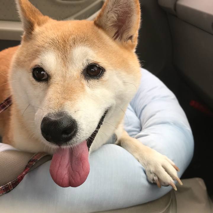 5eebc6e0 304a 4ac2 809e 6be68d9d69ce 1508121841836