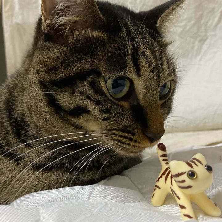 5eec02e1 2950 4797 a483 c78b50a5a53d 1634467381554