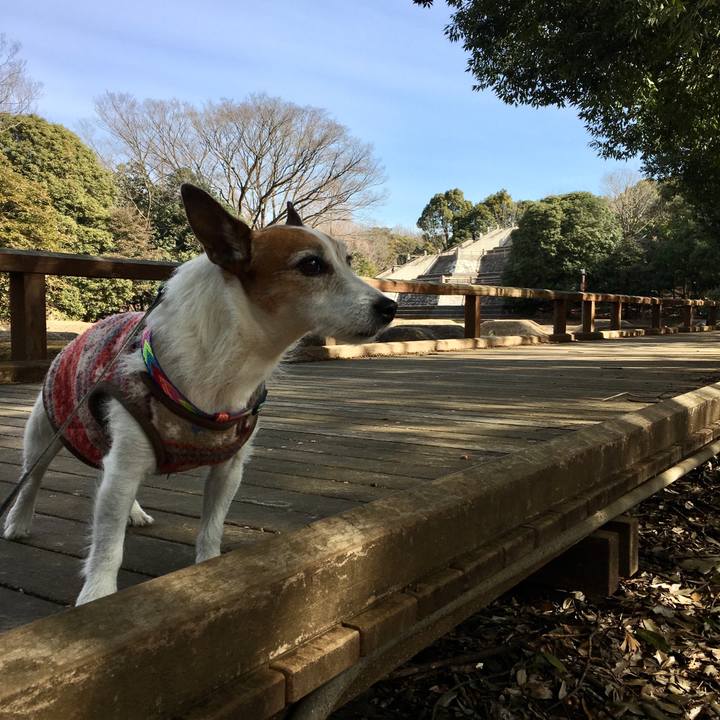 5eec2c91 8bde 4e74 9a4b 452d4ffabc11 1644715372147