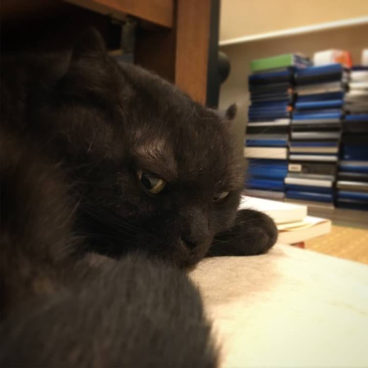 5eec5131 1acc 4d69 a229 1abae1e2b02c 1535298885201