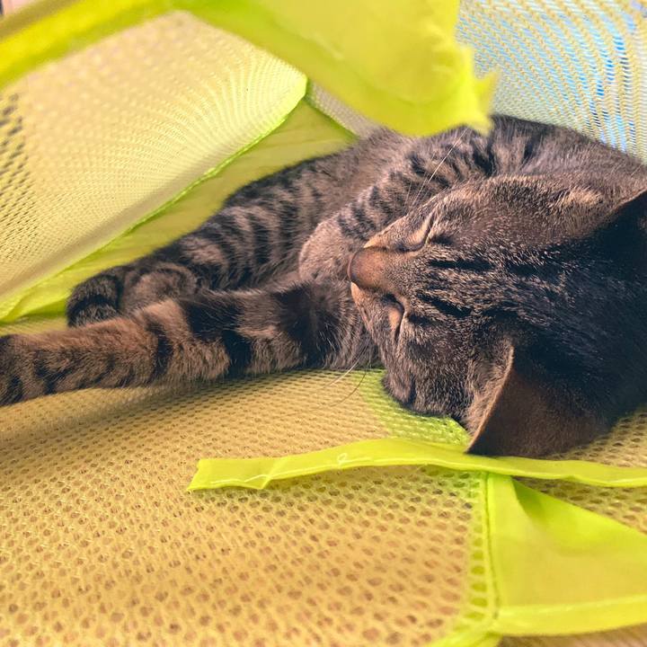 5eecf0be 488b 47af 8941 06b12df6d166 1558423350902