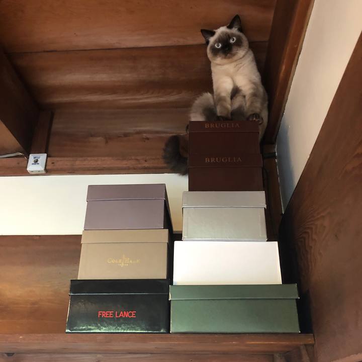 5eecfc86 ad5a 4118 9bcc a46ce3e55271 1598223874966