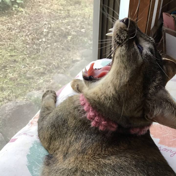 5eed0447 ba40 4ceb a41b bafe9cfd0f20 1594366607831