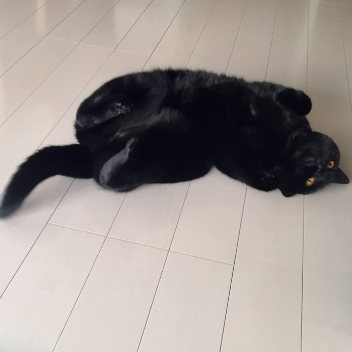 5eed19e8 3cb7 4cc2 a926 6749507b5a5f 1584403867672