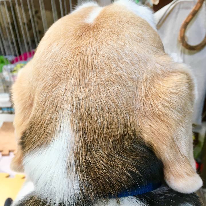 5eed3e10 1cc7 464a 9888 839c1a891bd4 1561088298245