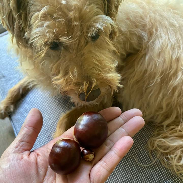 5eed5cf5 2908 4685 b273 09b50653ce39 1662073515236