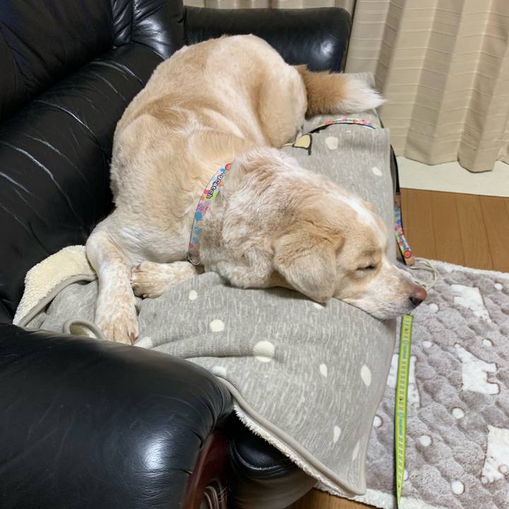 5eed745e 9078 4757 a2f0 592a8e24dac2 1547565270271