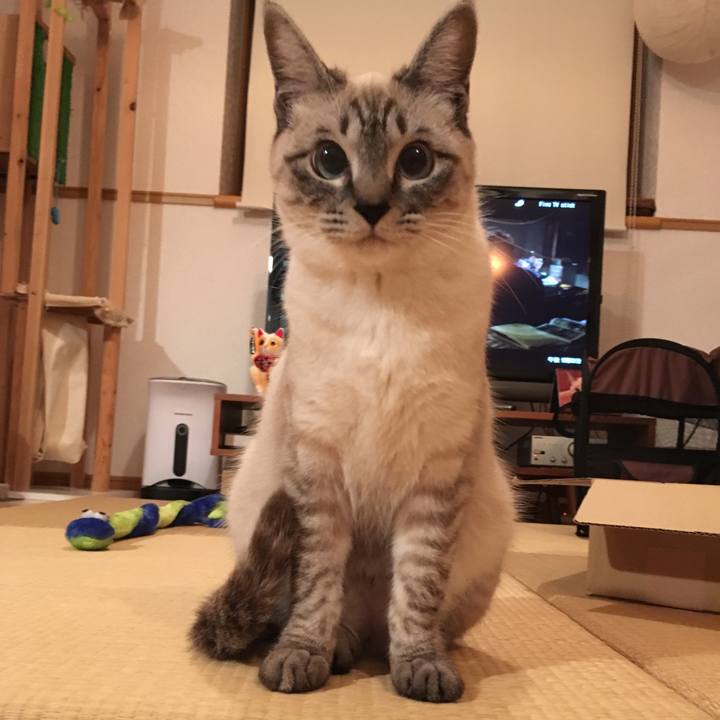 5eed80f7 16ab 4d92 8fd7 6ad12a7dd4df 1550578502360