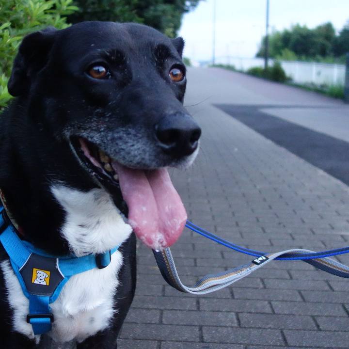 5eed8917 4586 4591 b8fb abf804b7fb1f 1688304502229