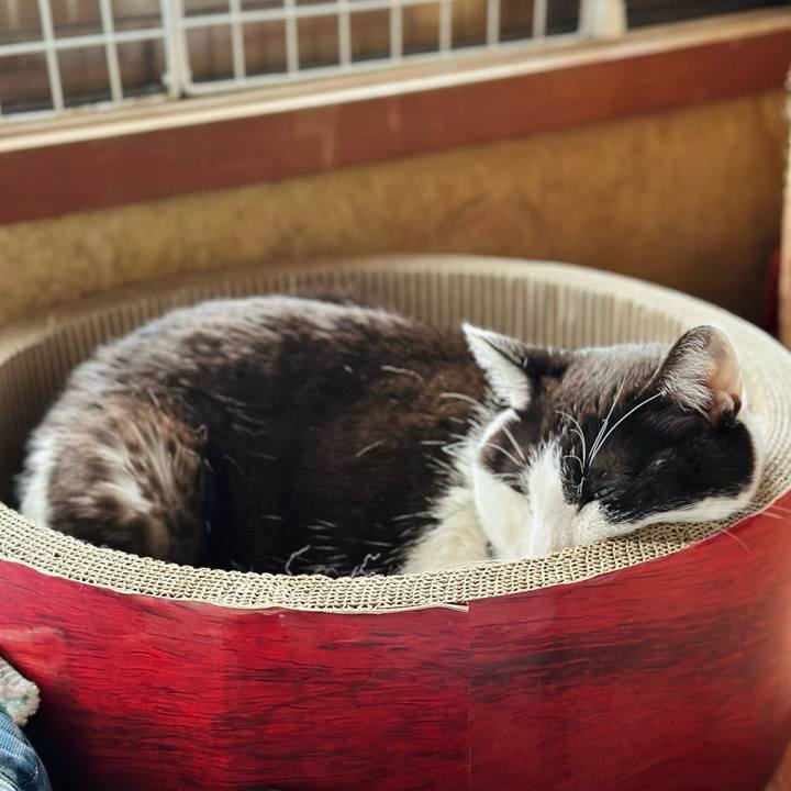 5eedd6eb 9fc5 4124 b055 f6f1aab0a963 1685065730556