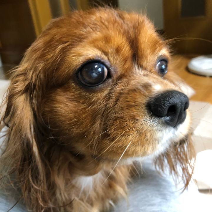 5eedea6d 631e 44cc b5b1 680606ad86ed 1602938452443