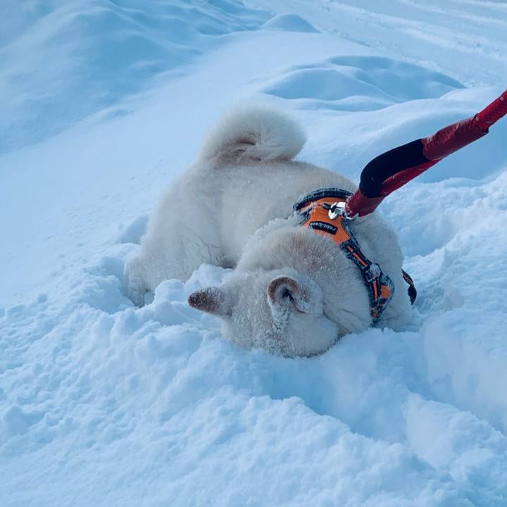 5eedee16 ea34 4cac a87d 7f775a752b4e 1675119232910