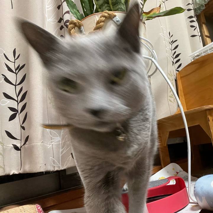 5eee0ffc 9475 4009 8784 9750fd62e54c 1716036069747