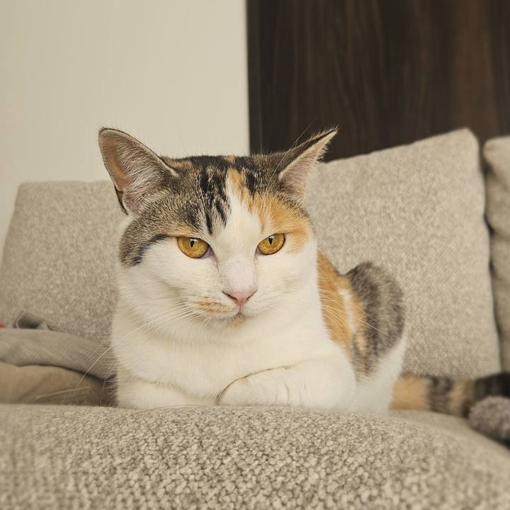 5eee19ac 3cc1 4a0b 9d74 1f7245e642b0 1771228157702