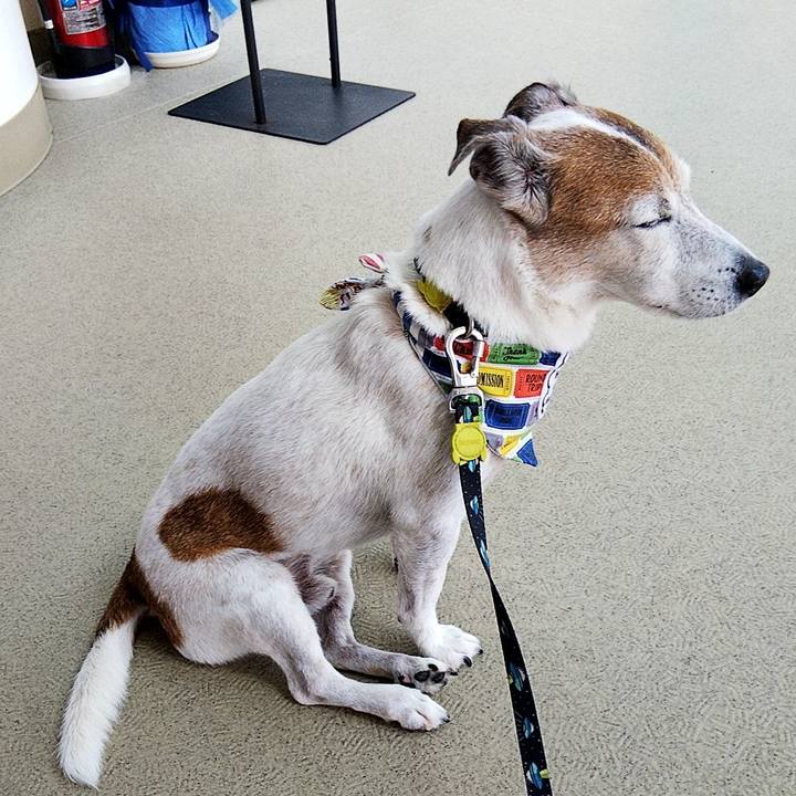 5eee3225 8951 41c9 996d 20c01c9c6013 1564713514777