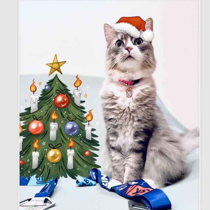 5eee3708 a934 427a 90ab 0b8966c914e1 1703268338692