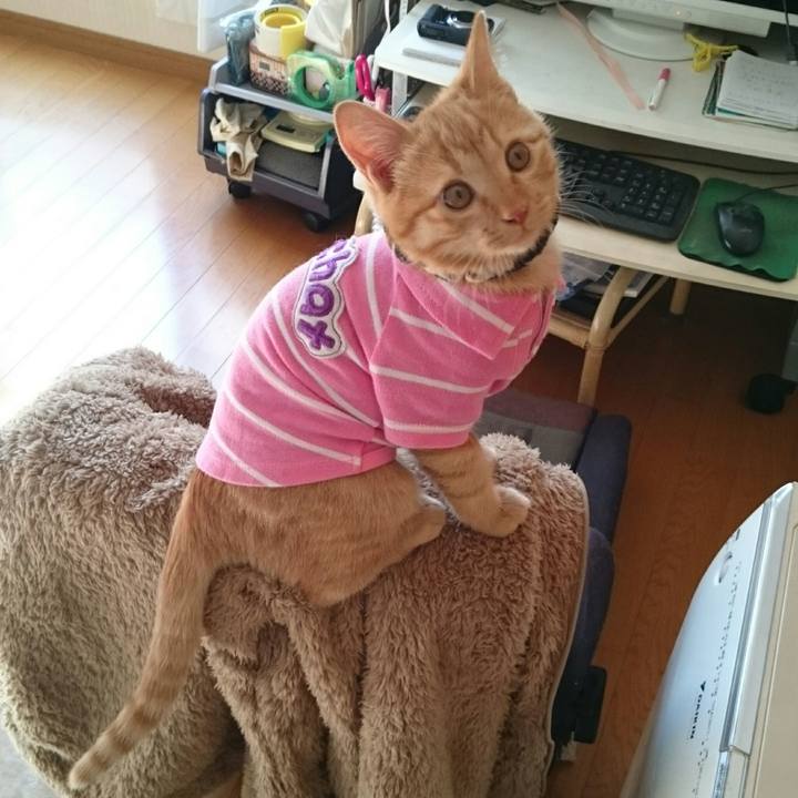 5eee3dcd dce2 4f8b b14f 0bcd595008be 1543114327047