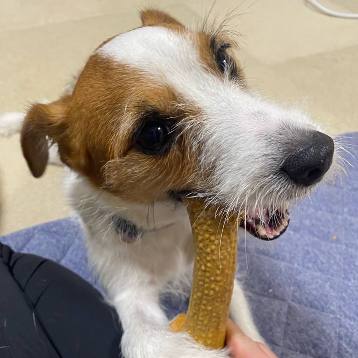 5eee5e34 47a0 40c5 b31e 23613dcb2a7f 1758456192819